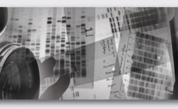 C.I.A. Investigazioni srls di Sergio D'amore