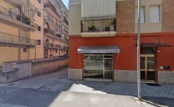 World Protection Security Srl