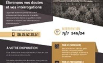 Détective Privé Perpignan-IN EXTREMIS