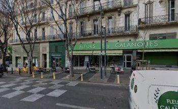 Euro-investigation.iris