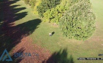 Delta 74 Private Investigations Ltd