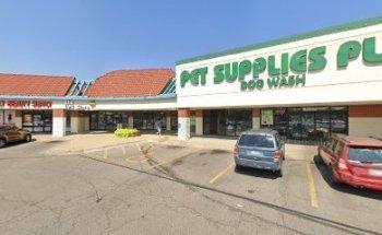 EIKON SOLUTIONS - Private Investigator - Private Detective