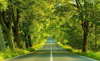 Heirfinders Research Associates, LLC