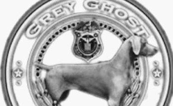 Grey Ghost - Private Investigator Miami