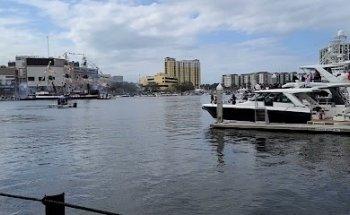 Global Protection Agency, LLC