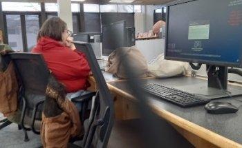 Federal Bureau of Investigation