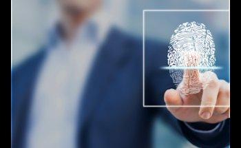 Desert City Investigative & Professional Services (Process Server)