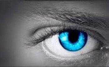 Go Business/Team 007