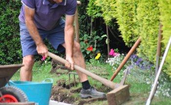 Dolos Investigations