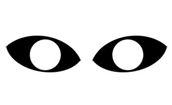 Sentry Private Investigators Ltd