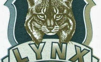 Lynx Detectives Privados