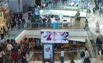 North Court Investigations - Reading