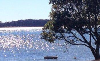 True Results Limited