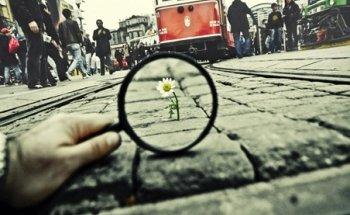 MJ Detectives Privados