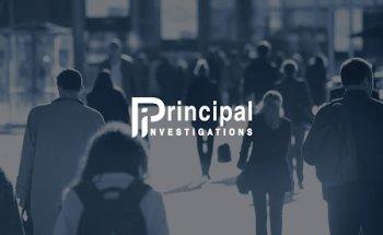 Private Investigator London - Principal Investigations