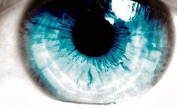 Detectib | Detectives Privados y Criminalistas