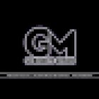 GM Sicherheits-Service