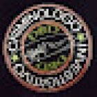 Criminologo Investigativo Dr Diego DI BARI