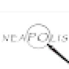 AGENZIA INVESTIGATIVA NEAPOLIS