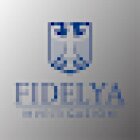Agenzia Investigativa Fidelya
