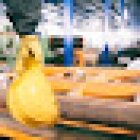 DARSA servizi investigativi