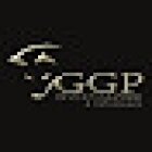 G.G.P. Investigazioni Private Viterbo