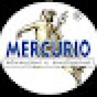 Investigazioni Mercurio, indagini patrimoniali in tutta Italia