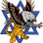 Zeni Group Investigation Di Zeni Massimiliano David