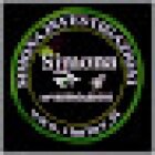 Simona Investigazioni