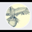 Agenzia Investigativa Aerre