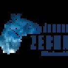 AGENCE ZEBRA - DÉTECTIVE PRIVÉ AGRÉÉ