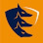 ALLARYS Détective privé Nice