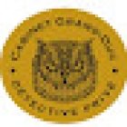 Cabinet Grand-Duc / Détective privé Caen