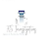 AFS INVESTIGATIONS / Fanny SAOUDI