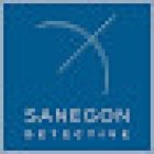 Agence SANEGON Détective