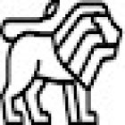 Private Investigator Limerick