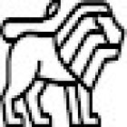 Private Investigator Naas