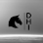 Dark Horse Intelligence - Investigations & Polygraph Service