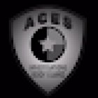 ACES Private Investigations Houston