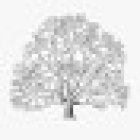 Heirfinders Research Associates, LLC