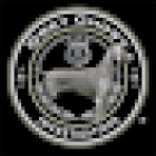 Grey Ghost - Private Investigator Miami