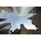 New York Intelligence Agency