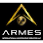 Armes International Investigative Services LLC