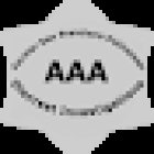 AAA Discreet Investigation