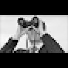 Smoking Gun Investigations, LLC