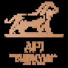 API International Consulting Group