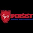 Persist Process and Investigations