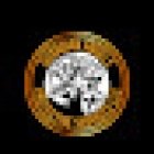 Guardian Angels Protective Services LLC