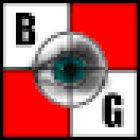 Briggs Investigations Group