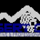 Desert City Investigative & Professional Services (Process Server)